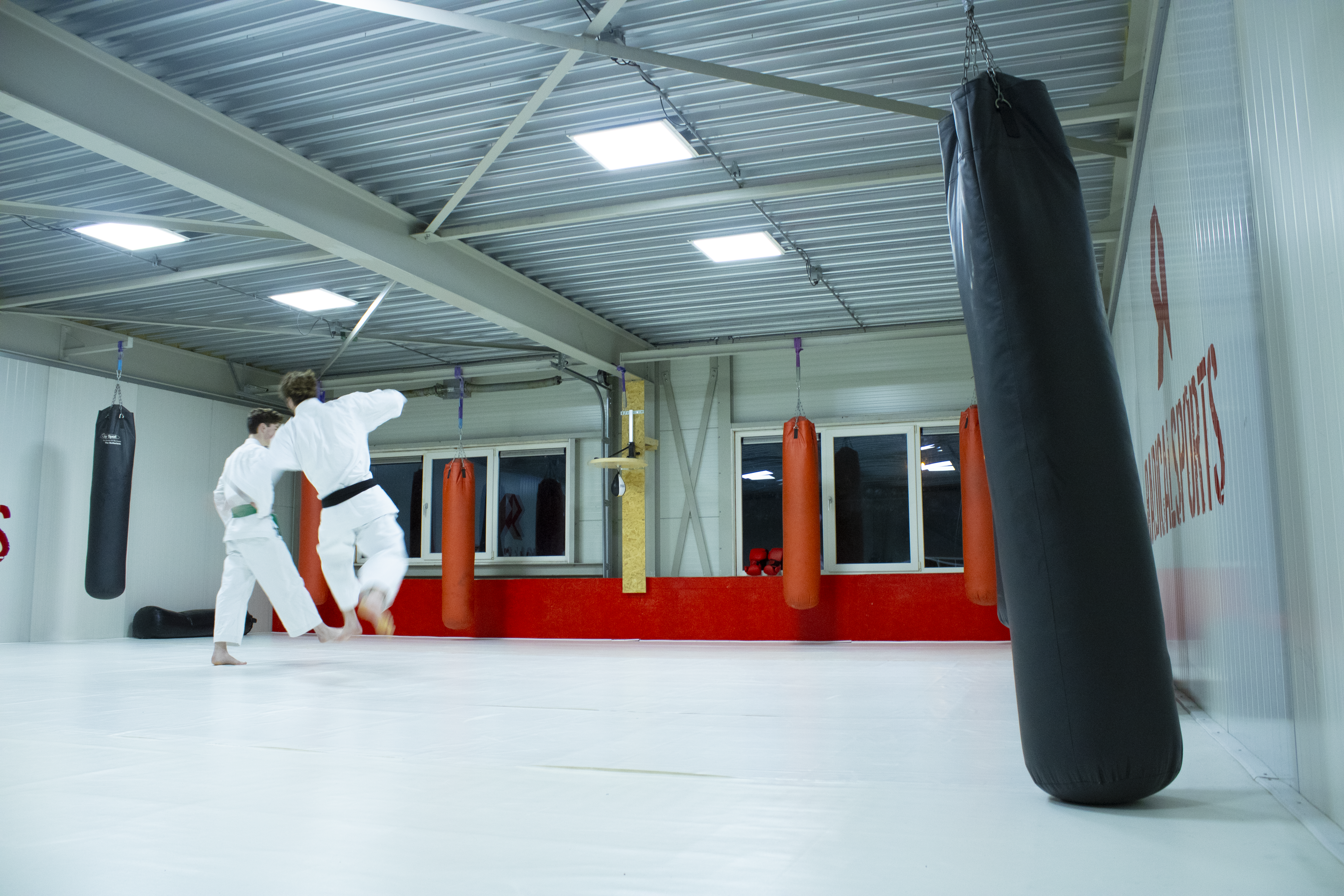 sparren karate